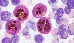 Pharma heme webinar
